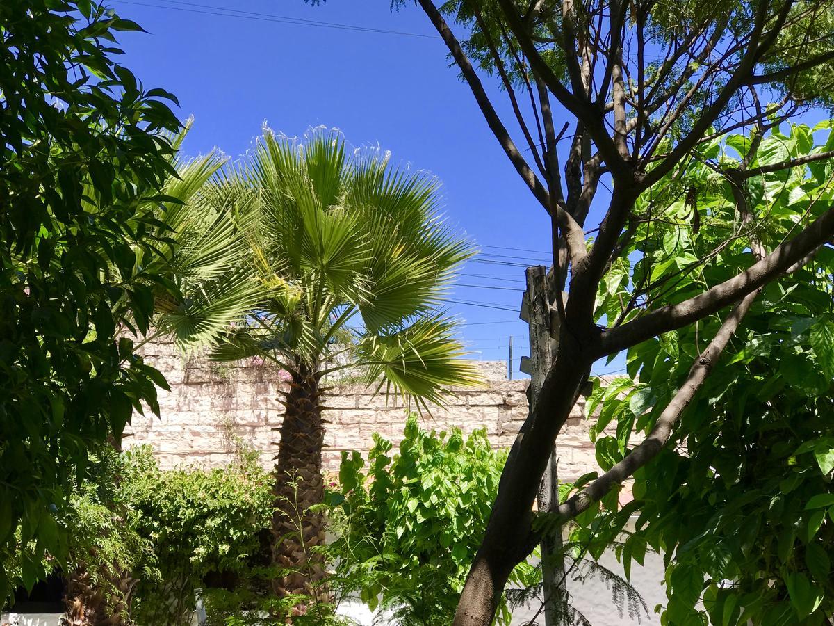 Grace Valley Arequipa Exterior photo