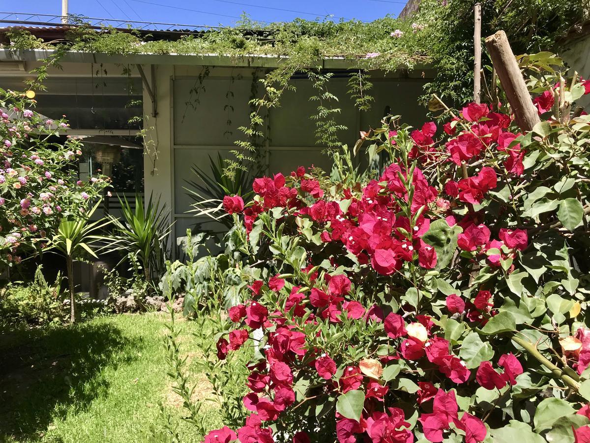 Grace Valley Arequipa Exterior photo